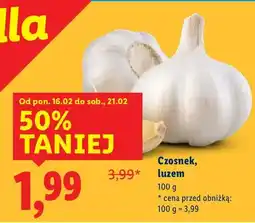 Lidl Czosnek luzem oferta