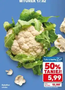 Kaufland Kalafior oferta