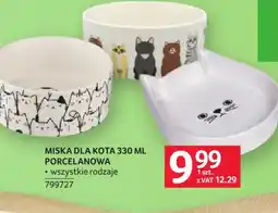 Selgros Miska dla kota porcelanowa oferta