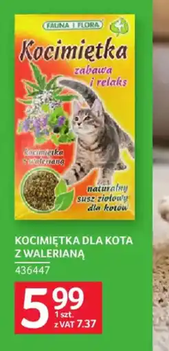 Selgros Fauna & Flora Kocimiętka oferta