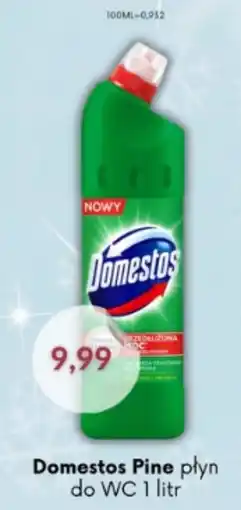 Astor Domestos Pine płyn do WC oferta