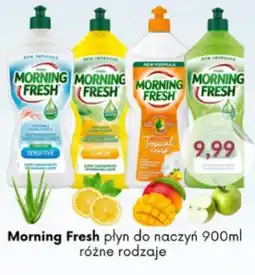 Astor Morning Fresh płyn do naczyń oferta