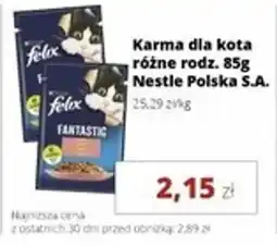 Torimpex Karma dla kota Nestle Polska S.A. oferta