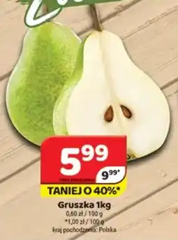 Delfin Gruszka oferta