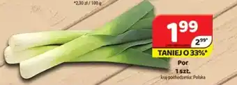 Delfin Por oferta