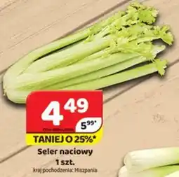 Delfin Seler naciowy oferta