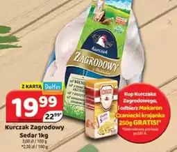 Delfin Kurczak Zagrodowy Sedar oferta