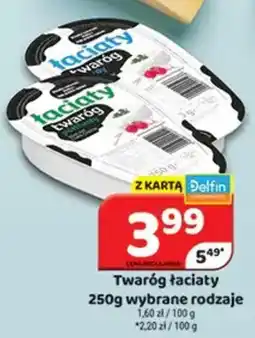 Delfin Twaróg łaciaty oferta
