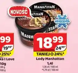 Delfin Lody Manhattan oferta