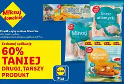 Lidl Wszystkie ryby mrożone Ocean Sea oferta