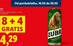 Lidl Piwo Żubr oferta