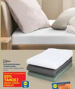 Lidl LIVARNO Prześcieradła dżersejowe z bawełną z gumką oferta