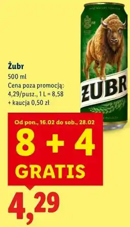 Lidl Piwo Żubr oferta