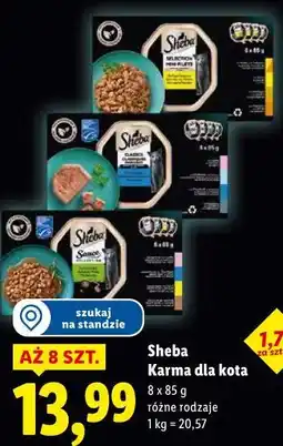 Lidl Sheba Karma dla kota oferta
