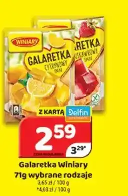 Delfin Galaretka Winiary oferta