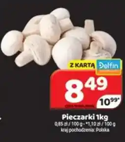 Delfin Pieczarki oferta