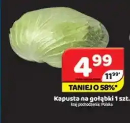 Delfin Kapusta na gołąbki oferta