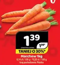 Delfin Marchew oferta