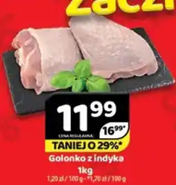 Delfin Golonko z indyka oferta