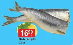 E.Leclerc Śledz bałtycki tusza oferta