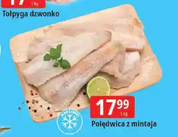 E.Leclerc Polędwica z mintaja oferta
