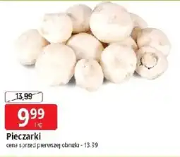 E.Leclerc Pieczarki oferta
