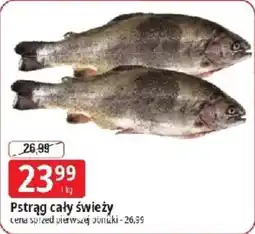 E.Leclerc Pstrąg cały świeży oferta