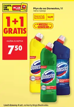 Biedronka Płyn do wc Domestos oferta