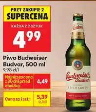 Biedronka Piwo Budweiser Budvar oferta