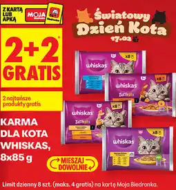 Biedronka Karma dla kota Whiskas oferta