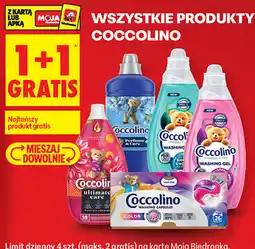 Biedronka Wszystkie produkty Coccolino oferta