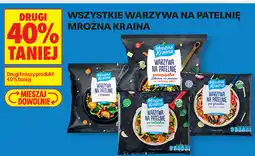 Biedronka Wszystkie warzywa na patelnię Mroźna Kraina oferta
