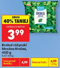 Biedronka Brokuł różyczki Mroźna Kraina oferta