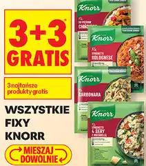 Biedronka Wszystkie Fixy Knorr oferta