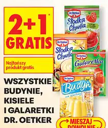 Biedronka Wszystkie Budynie, Kisiele i Galaretki Dr. Oetker oferta