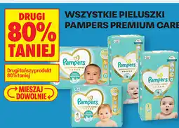 Biedronka Wszystkie pieluszki Pampers Premium Care oferta