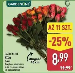 ALDI GARDENLINE Róże Bukiet 11 szt oferta