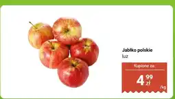 Biedronka Jabłko polskie Jonagold luz oferta