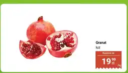 Biedronka Granat luz oferta