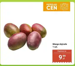 Biedronka Mango dojrzałe 1 szt oferta