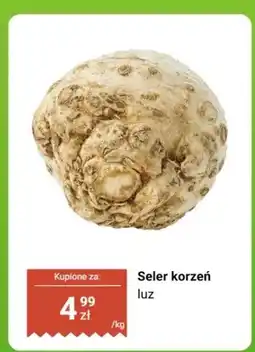 Biedronka Seler korzeń luz oferta