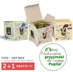 ARA TIVOHAY'BOX oferta