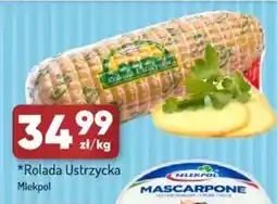 Avita Mlekpol Rolada Ustrzycka oferta