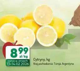 Avita Cytryny oferta