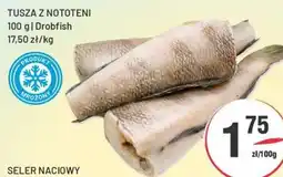 Sedal Drobfish Tusza z Nototeni oferta