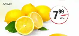 Sedal Cytryny oferta