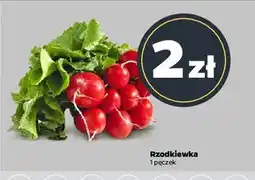 Netto Rzodkiewka, 1 pęczek oferta