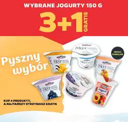 Netto Wybrane jogurty oferta