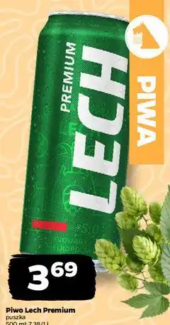 Netto Piwo Lech Premium oferta