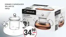 Sedal Dzbanek z zaparzaczem William oferta